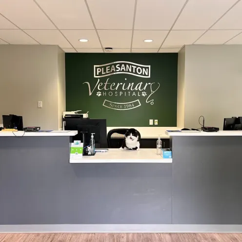 Pleasanton Veterinary Hospital Front Lobby with front check-in desk